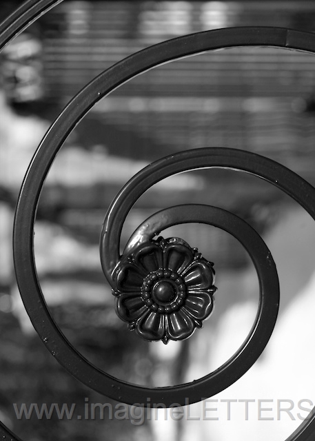 Wall_Art_Alphabet_Photography_Art_ 681.jpg